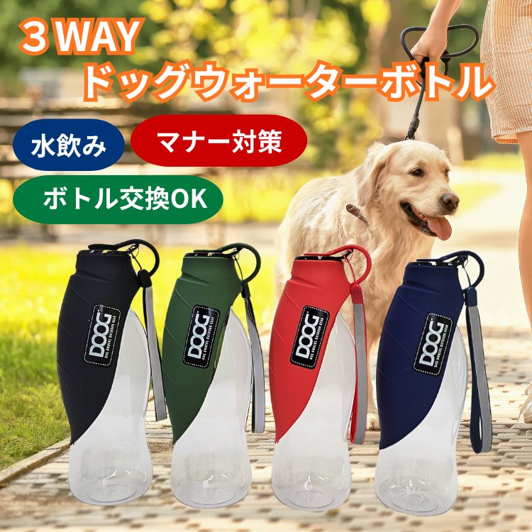 楽天市場】犬と猫のフィジカルアセスメント 本 書籍 ペット 動物看護師