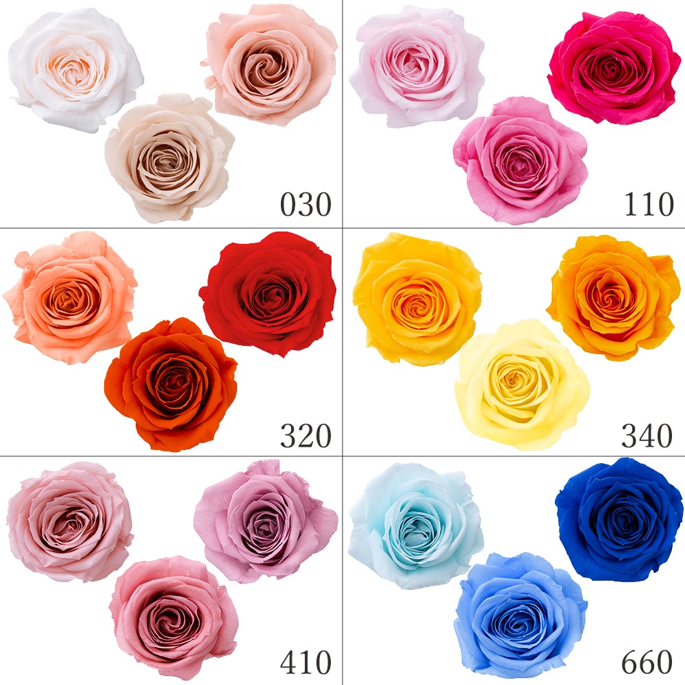 楽天市場】【P15倍中 3/11 9:59まで】 プリザーブドフラワー 花材