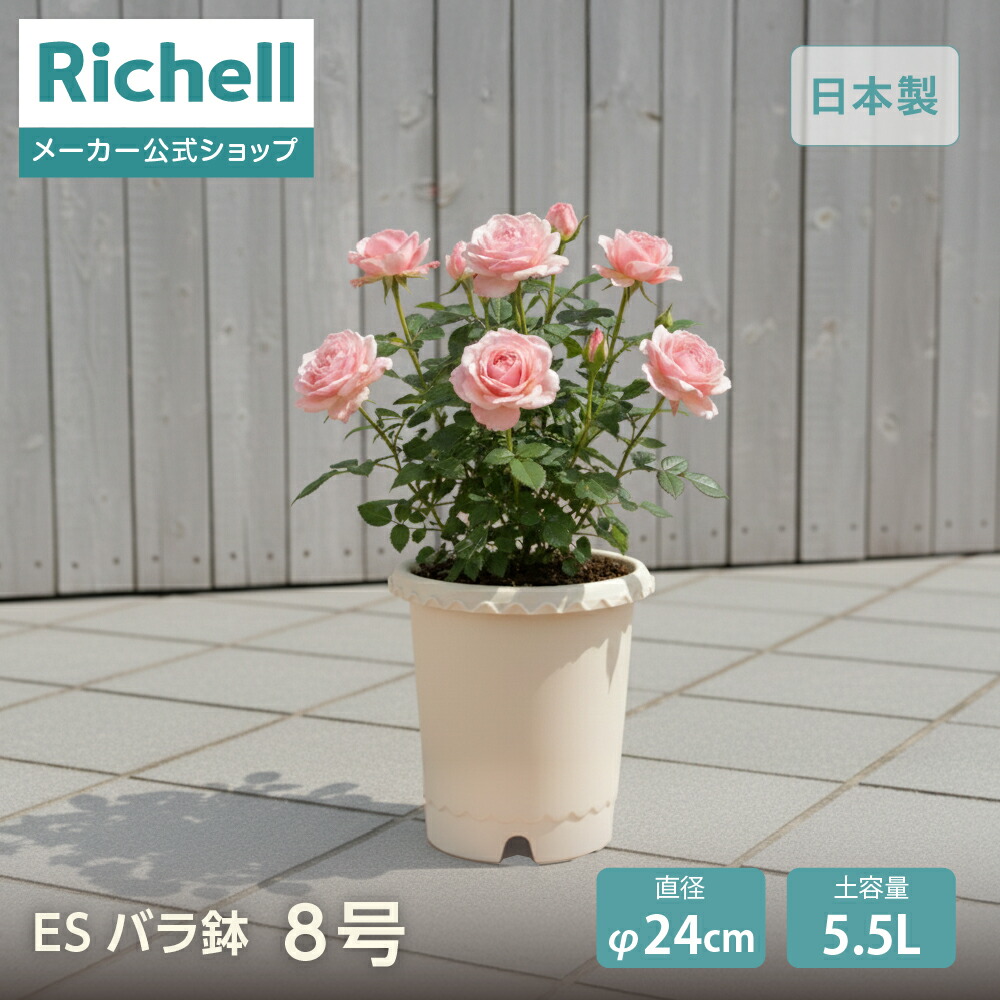 楽天市場】バラ 鉢 8号の通販