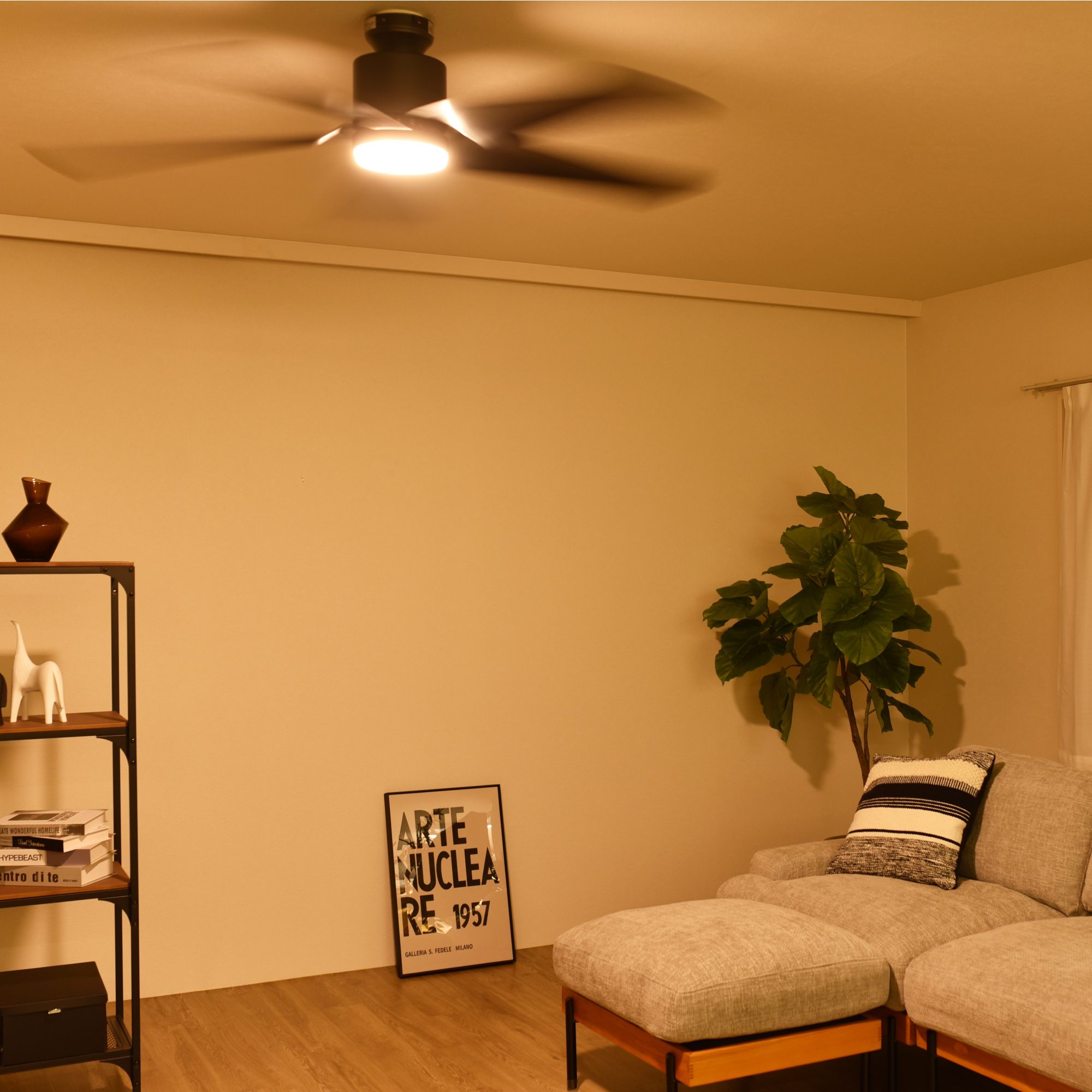 楽天市場】【5％OFF＆ポイント3倍！】シーリングファンライト