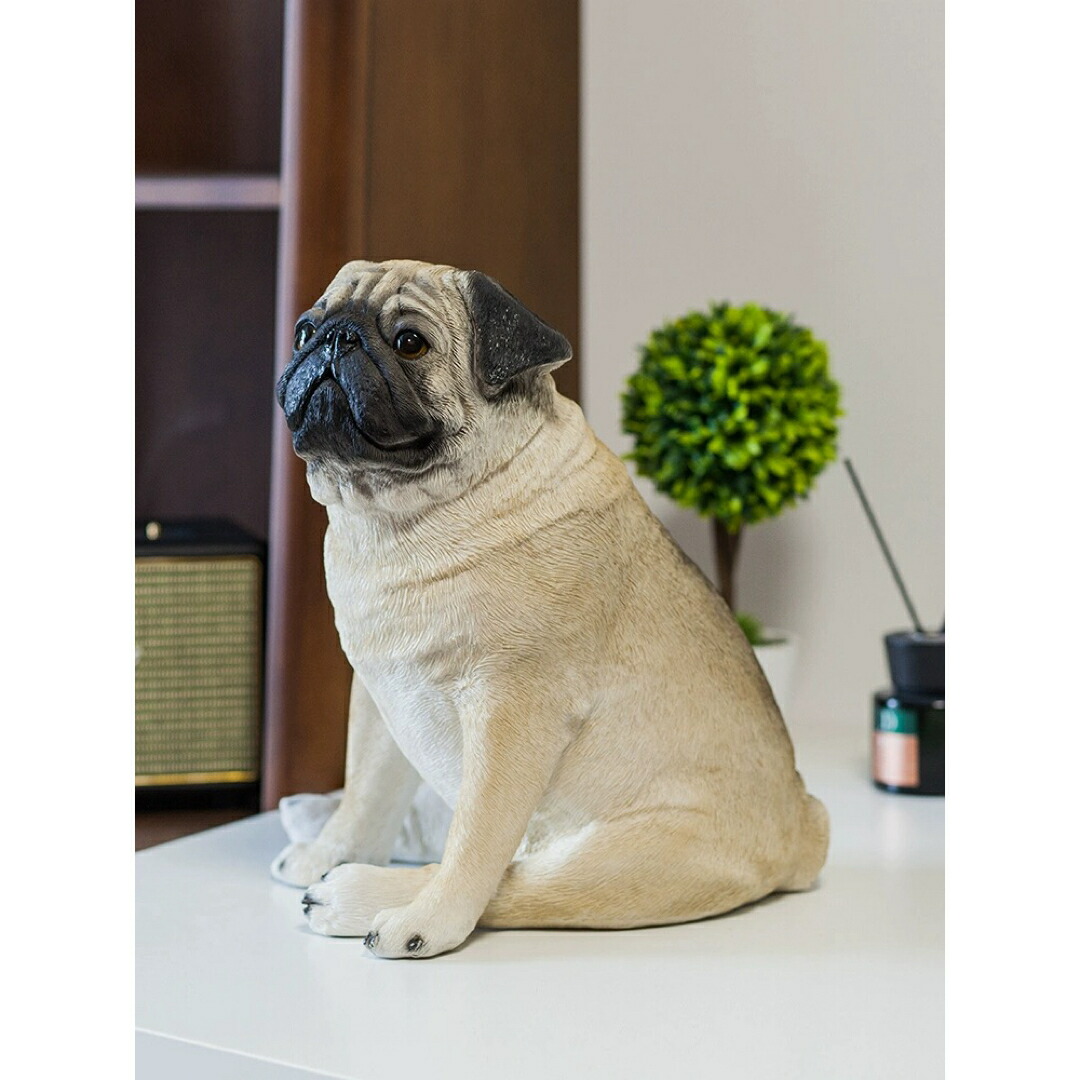 楽天市場】A033906ガーデンオーナメント パグ 犬置物 パグ犬 飾り玄関