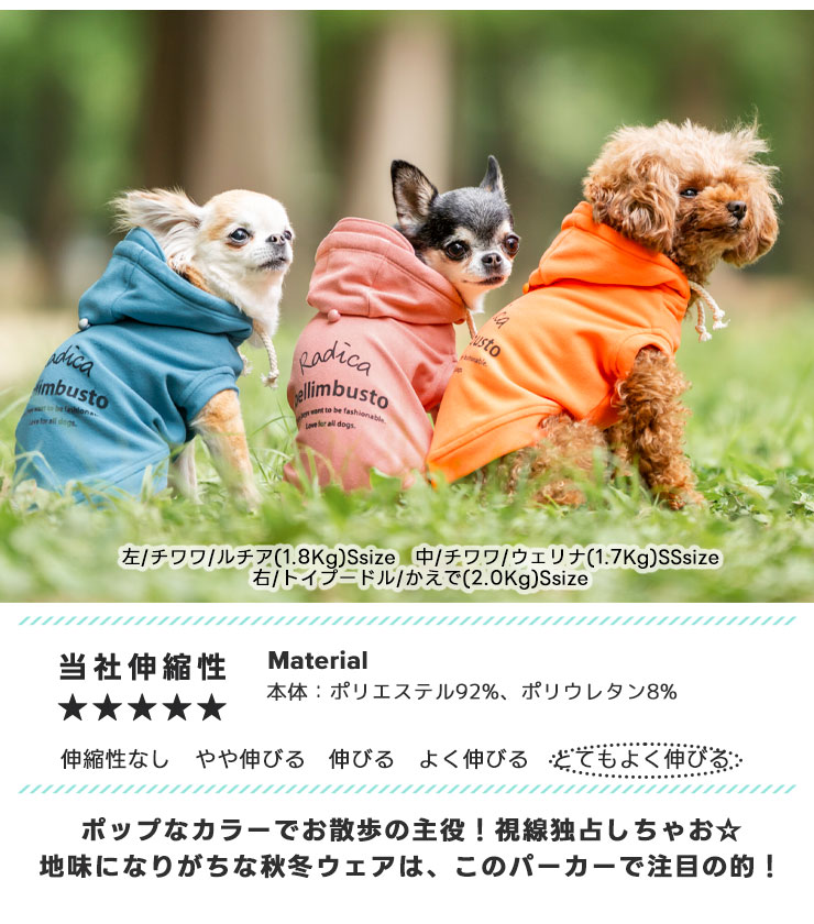 楽天市場】【冬物クリアランス】犬 小型犬 犬用 パーカー 犬服 ウェア