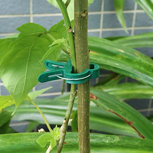 楽天市場】40本入 誘引クリップ 園芸クリップガーデニング 誘引家庭