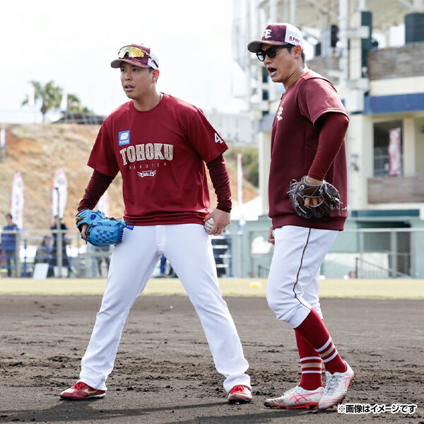 楽天市場】【イヌワシ・ザ・バーゲン】プロモデルチームTシャツ《楽天