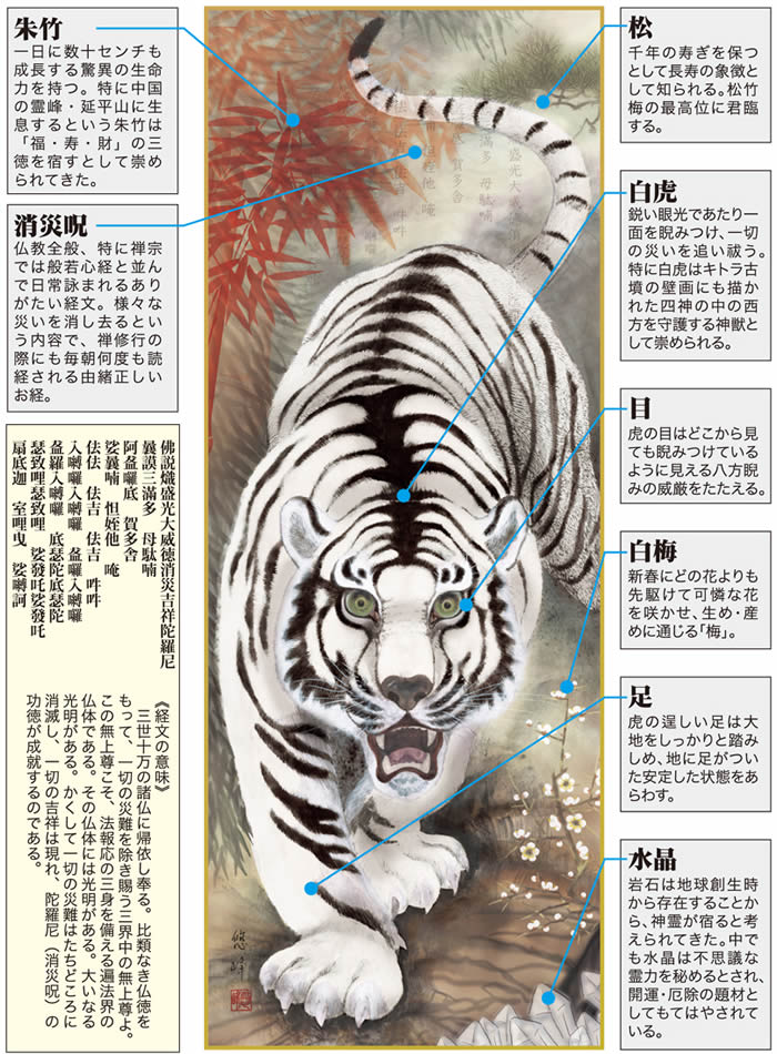 楽天市場】掛け軸【縁起画：消災白虎朱竹之図/3D5-019】丈190cm×幅54.5