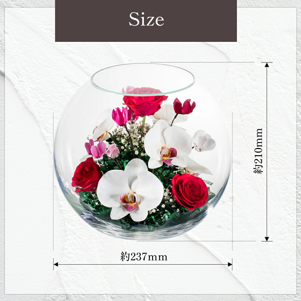 楽天市場】レンデフロール 日本製 ボトルフラワー ドライフラワー バラ