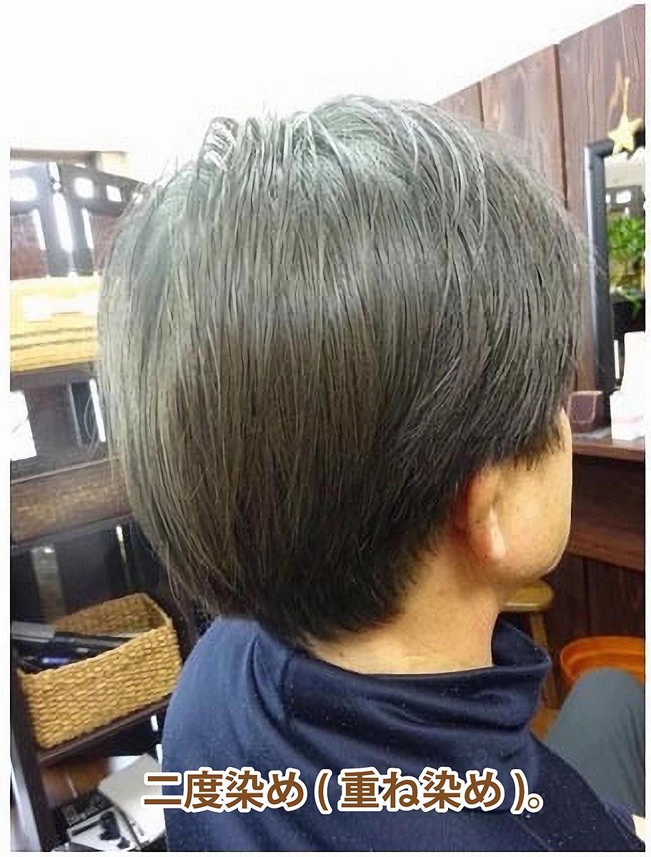 楽天市場】インディゴ インディゴパウダー 白髪染め ( 500gパウチ