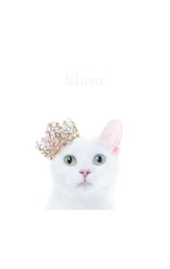 楽天市場】Aimer 雪の降る街（CD｜CD・DVD）の通販