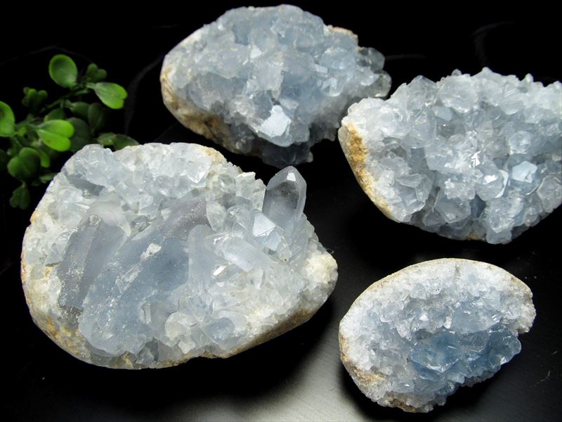 imgrc0077184173.jpg?fitin=272:272