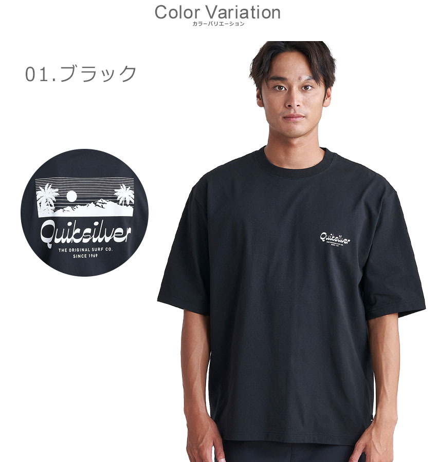 楽天市場】【ネコポス配送】クイックシルバー メンズ Tシャツ 半袖