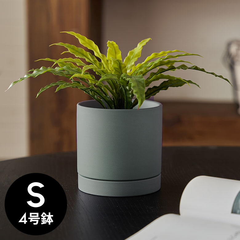 楽天市場】植木鉢 陶器 マット 4号鉢 受皿 底穴あり 小型 Sサイズ 約 W