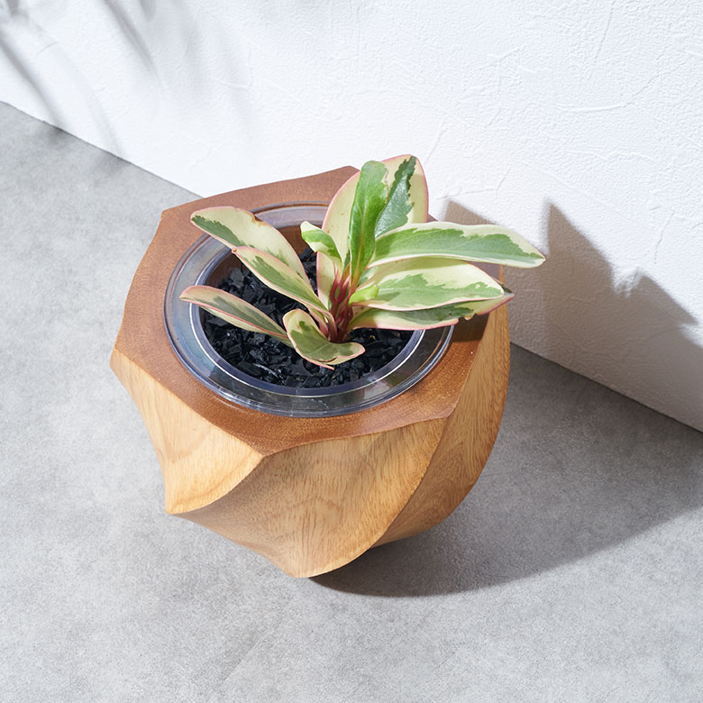 楽天市場】プランターカバー ウッドプランターカバー 天然木 木製