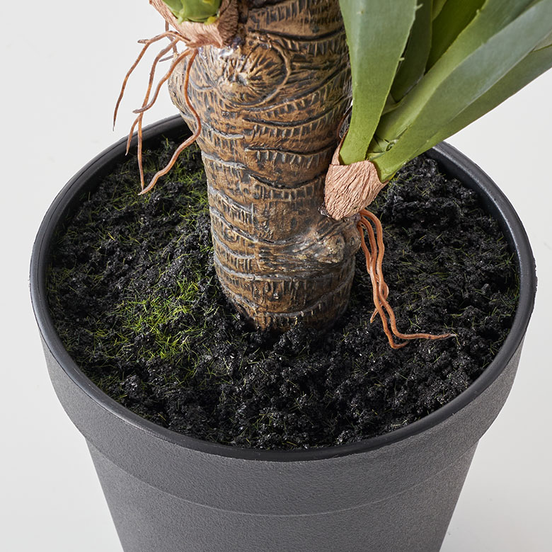 楽天市場】フェイクグリーン アガベ 約 W 28cm D 28cm H 58cm 観葉植物
