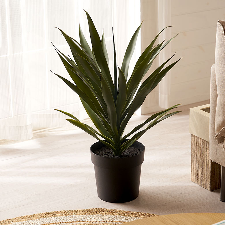 楽天市場】フェイクグリーン アガベ 高さ 70cm 観葉植物 グリーン