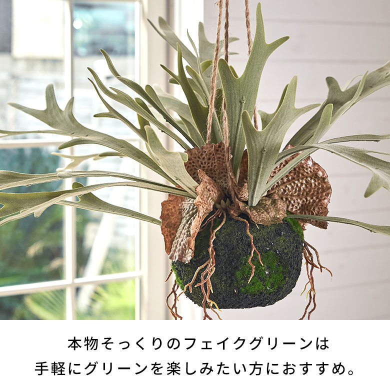 楽天市場】フェイクグリーン 吊り下げ 観葉植物 室内 コウモリラン