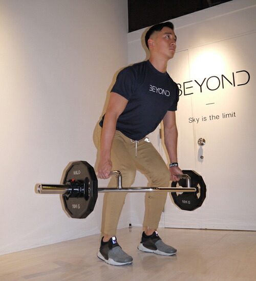 楽天市場】オリンピック ヘキスバー カラー無しヘックスバー 送料無料