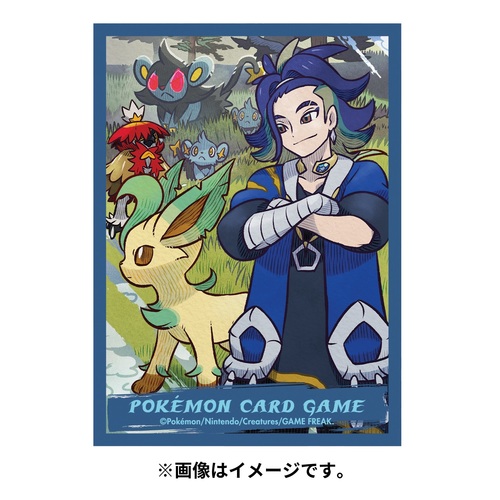 楽天市場】ポケモンセンターオリジナル ポケモンカードゲーム デッキ