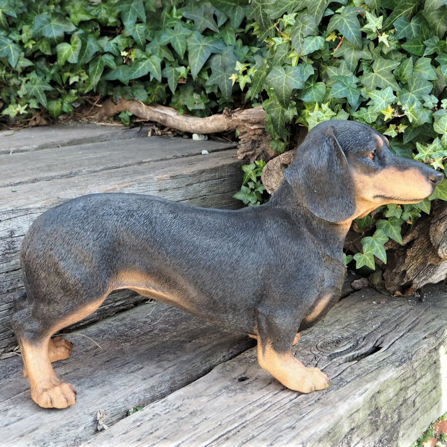 楽天市場】送料無料 犬の置物 ダックスフンド T14056 いぬ イヌ