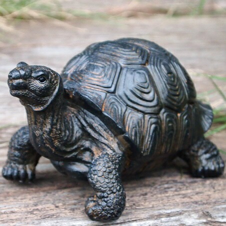 楽天市場】かめの置物 亀の親子2品セット 7575・74HT かめ