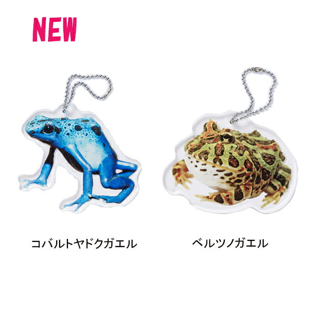 frog03.jpg
