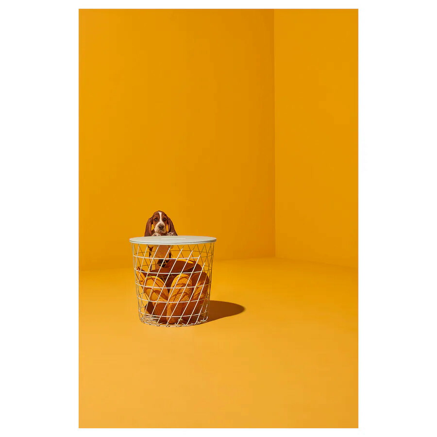 楽天市場】【IKEA イケア】KVISTBRO クヴィストブロー リビング