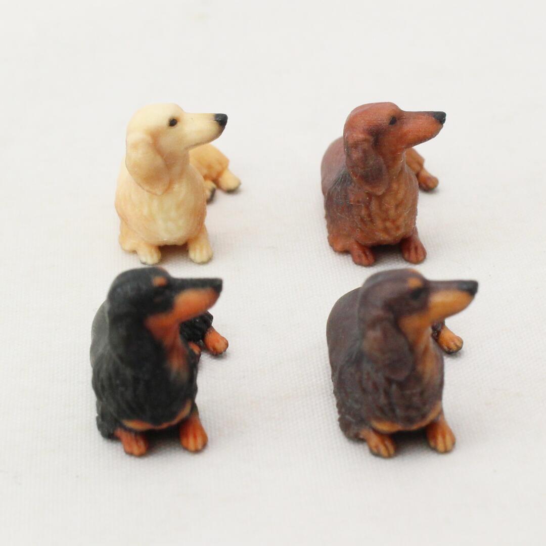 楽天市場】【azuki】Partner's 54 ロングヘアード・ミニチュア