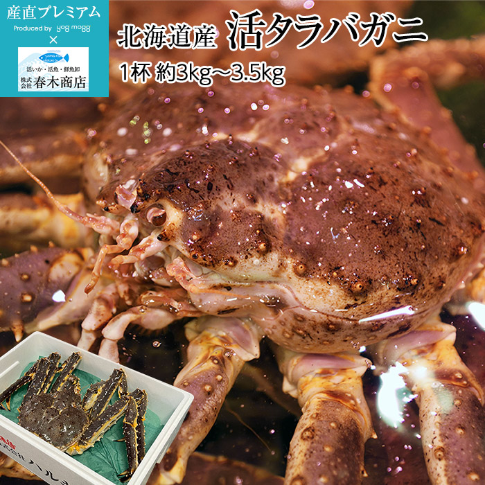 楽天市場】【3/4 20:00〜エントリーでP10倍】かに 天然活タラバガニ 約