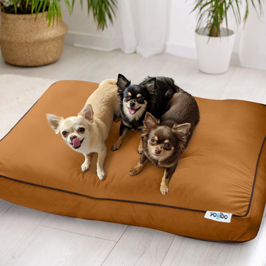 楽天市場】【まとめ買い最大P10倍】 大型犬サイズのペットベッド 多頭