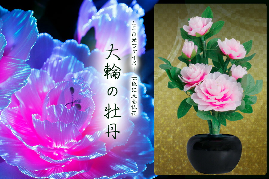 楽天市場】グランドルミナス 六花ボタン 大輪の牡丹 LED 花 供花 造花