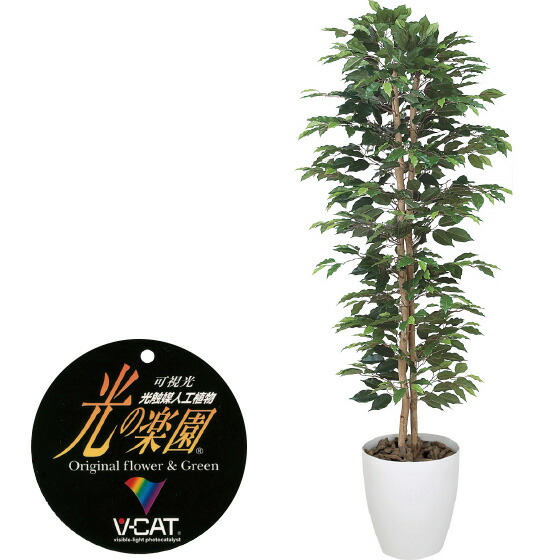 楽天市場】【クーポンで10%OFF】 光触媒人工植物 ベンジャミンスリム