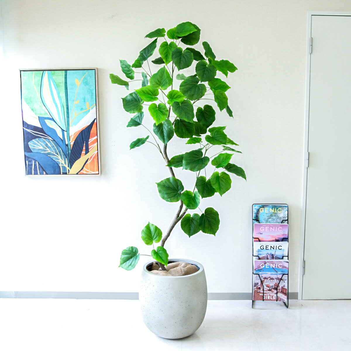 楽天市場】フェイクグリーン 観葉植物 人工観葉植物 フィカス