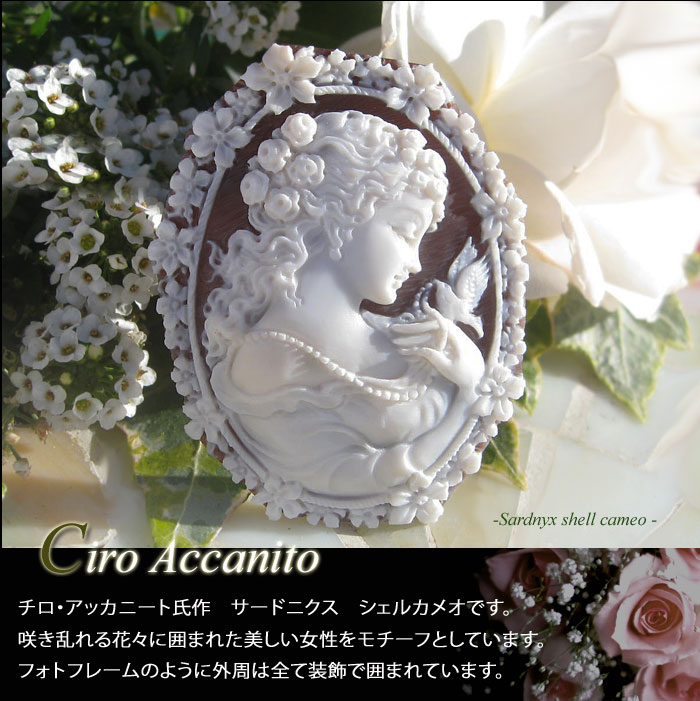 楽天市場】Ciro Accanito作 シェルカメオルース【フラワーサークル