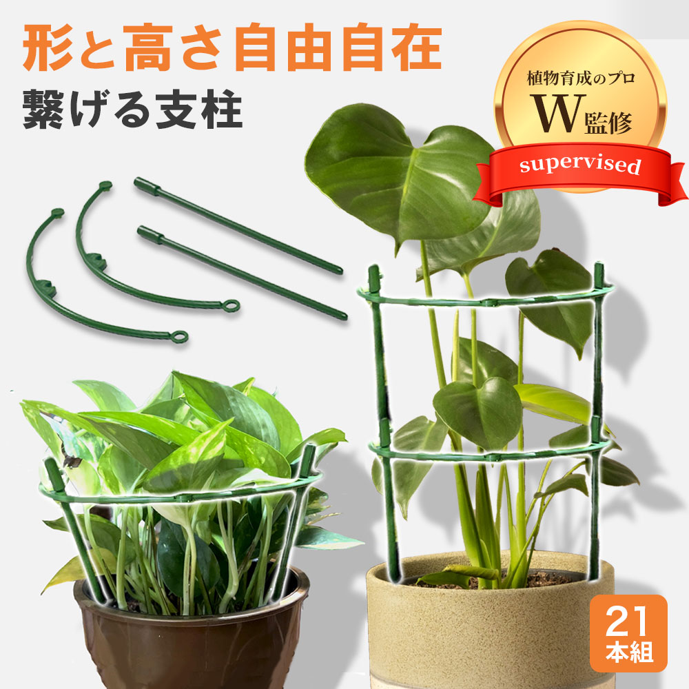 楽天市場】【植物のプロW監修】 支柱 園芸 21本組 連結タイプ 観葉植物