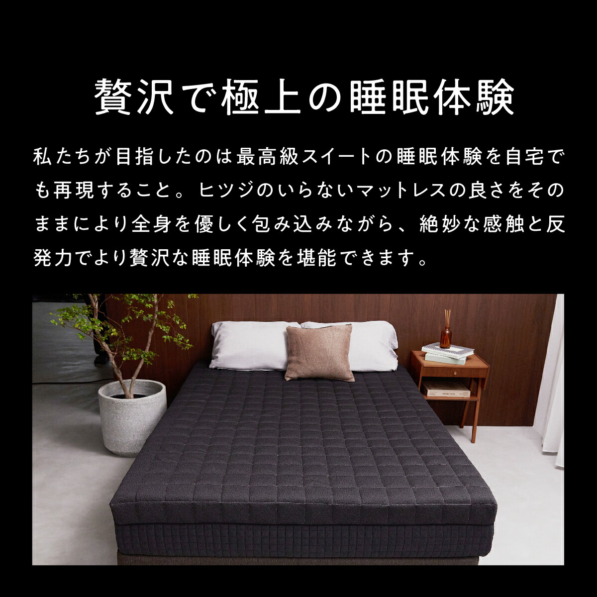 楽天市場】【最大15%OFF+さらにクーポンでお得！】 ヒツジのいらない