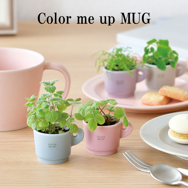 楽天市場】栽培キット Color me up MUG カラーミーアップマグ 【即納