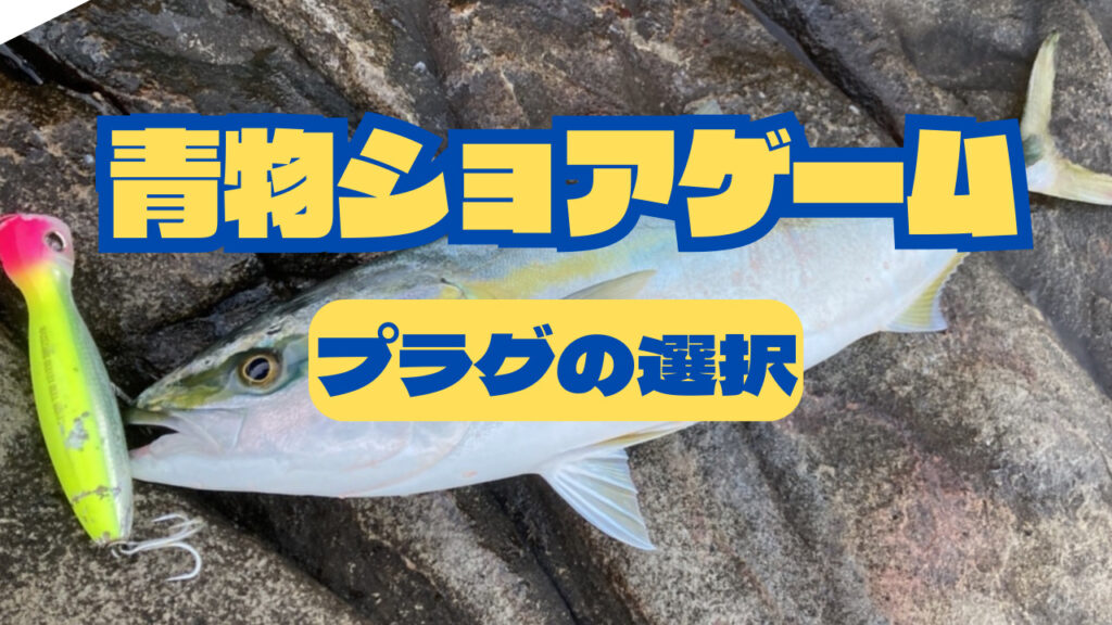 ロックショア プラグの選択 おすすめマリアのルアー | 釣太郎ホームページ
