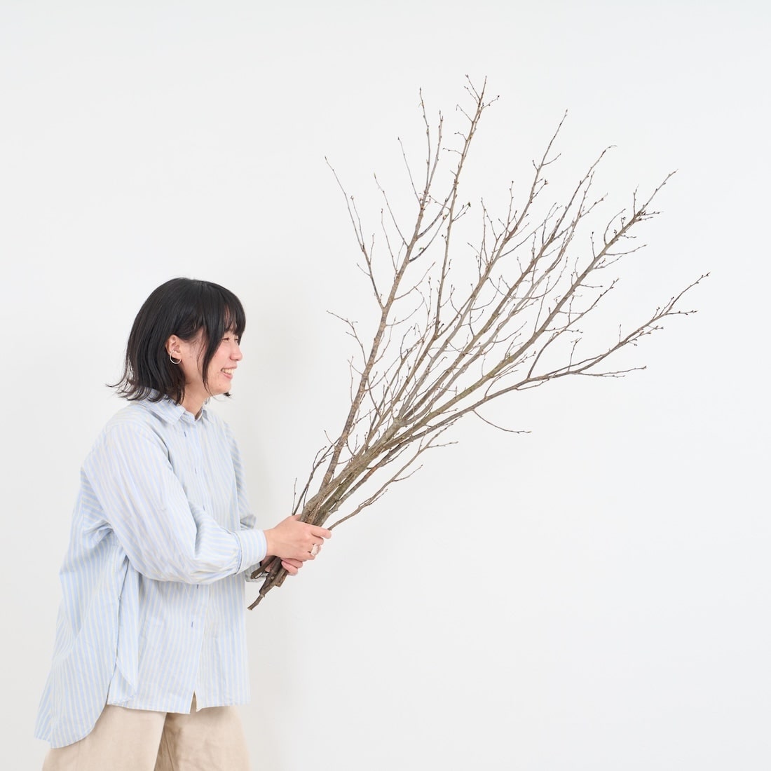 BIGボタニカル］桜の枝 120cm 商品ページ - 土と風の植物園