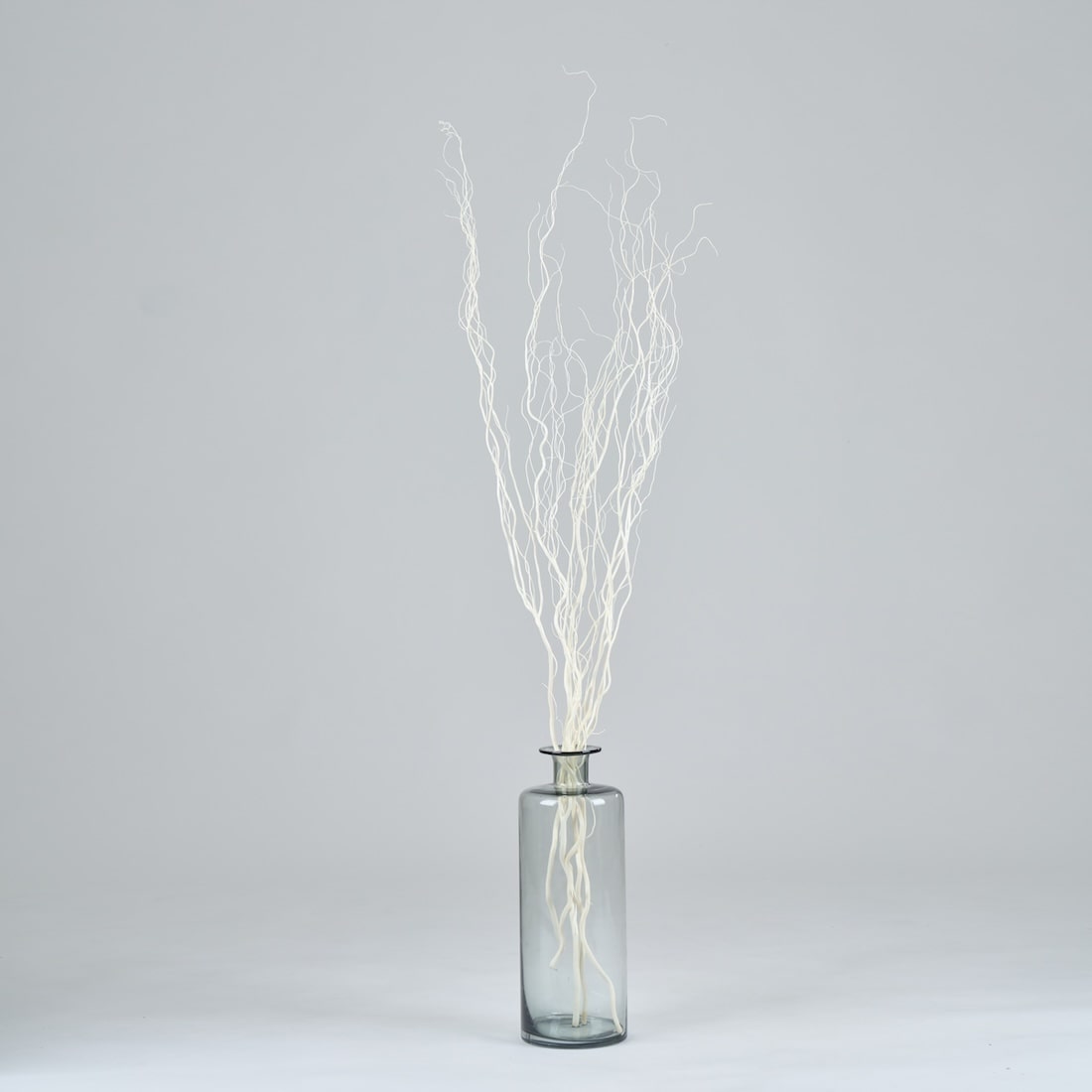 BIGボタニカル｜ドライ］雲竜柳 ホワイト 100-120cm 商品ページ - 土と