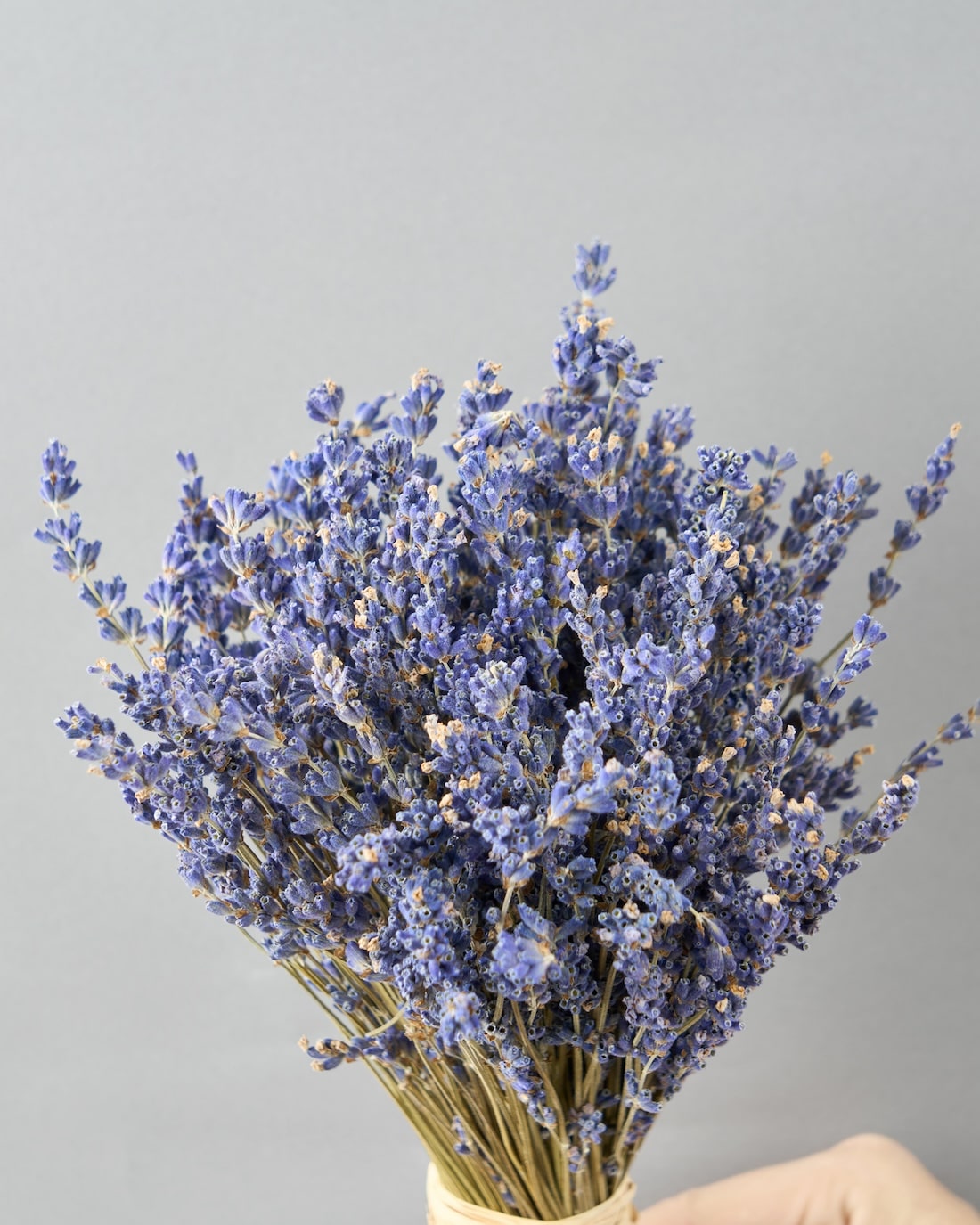 ラベンダーのスタンドブーケ 商品ページ - 土と風の植物園