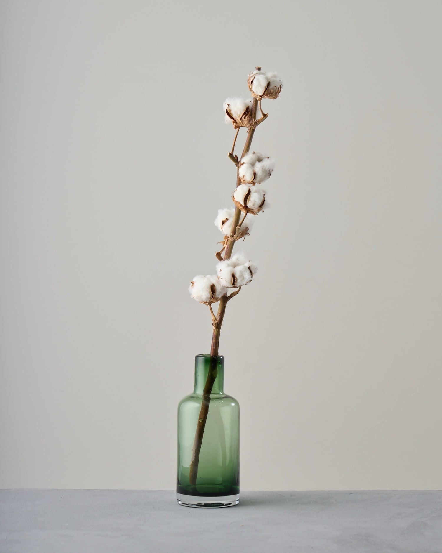 ドライフラワー］コットンフラワー商品ページ - 土と風の植物園