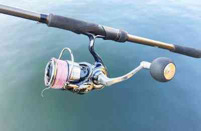 19 セルテート LT4000-CXHのスペックとインプレ | 釣りクラウド