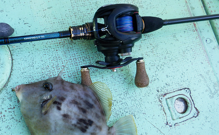 船カワハギリール【おすすめランキング7選】 特徴や選び方のコツも解説