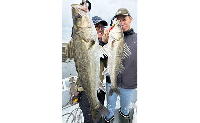 大人気のシーバス定番ルアー3種【VJ・カゲロウ・ブローウィン】を