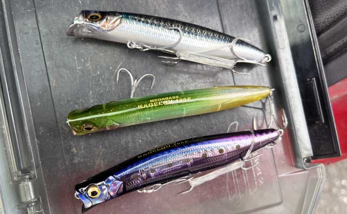 大人気のシーバス定番ルアー3種【VJ・カゲロウ・ブローウィン】を