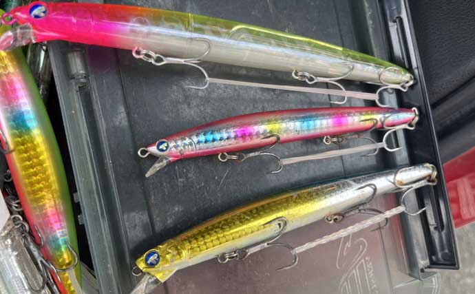 大人気のシーバス定番ルアー3種【VJ・カゲロウ・ブローウィン】を