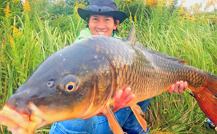 6123d6796b60f4638479fa95182ecd