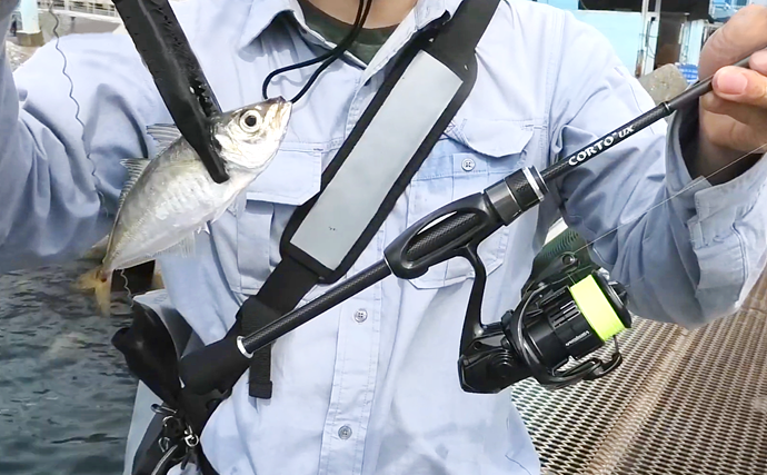 アジングロッドに迷ったら『23コルトUX』で決まり コスパ抜群のモデル