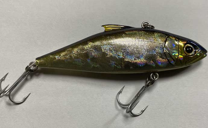 大掃除で出てきた懐かしいルアーたち 釣り歴30年以上の愛好家が紹介