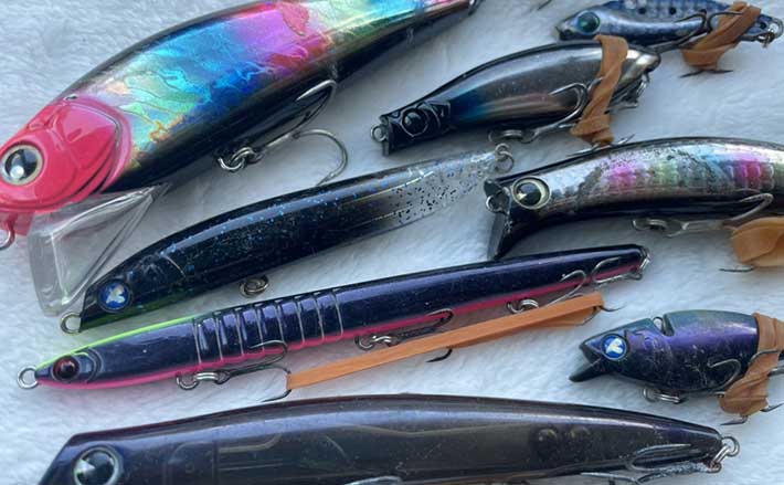 シーバスゲームにおける不人気カラー『黒色』ルアーの魅力と使いどころ