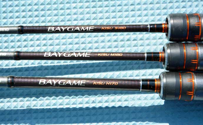 船キス竿のオススメ6選 竿頭を狙うためのロッドの選び方 | TSURINEWS